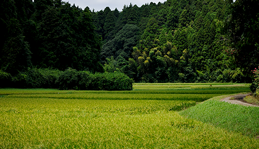 3.たけやま独自の委託作業システム「青田買い」